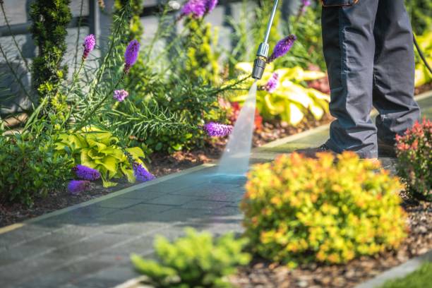 Professional Pressure Washing Services in Milton, WV
